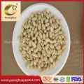 Wholesale Price Jumbo Blanched Peanut Kernels